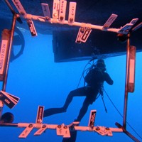 MPI inspection