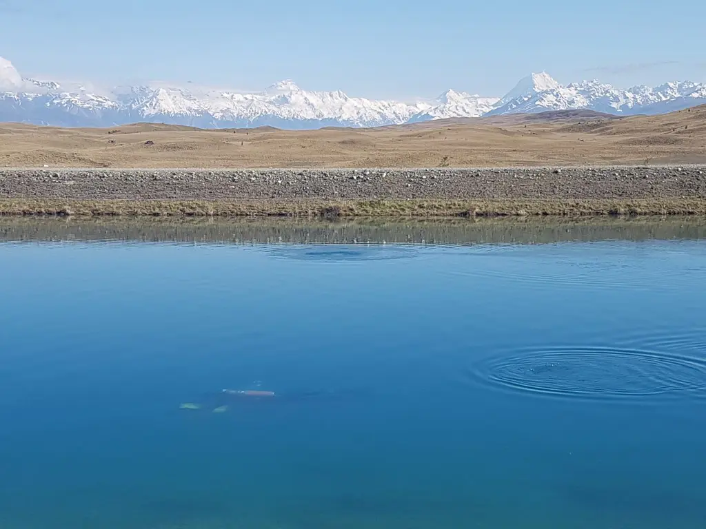 GENESIS DIVING SERVICES