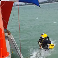 Diver jumping into water