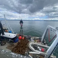 Island Leader 2 - Anchor and Chain retrieval