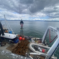 Island Leader 2 - Anchor and Chain retrieval
