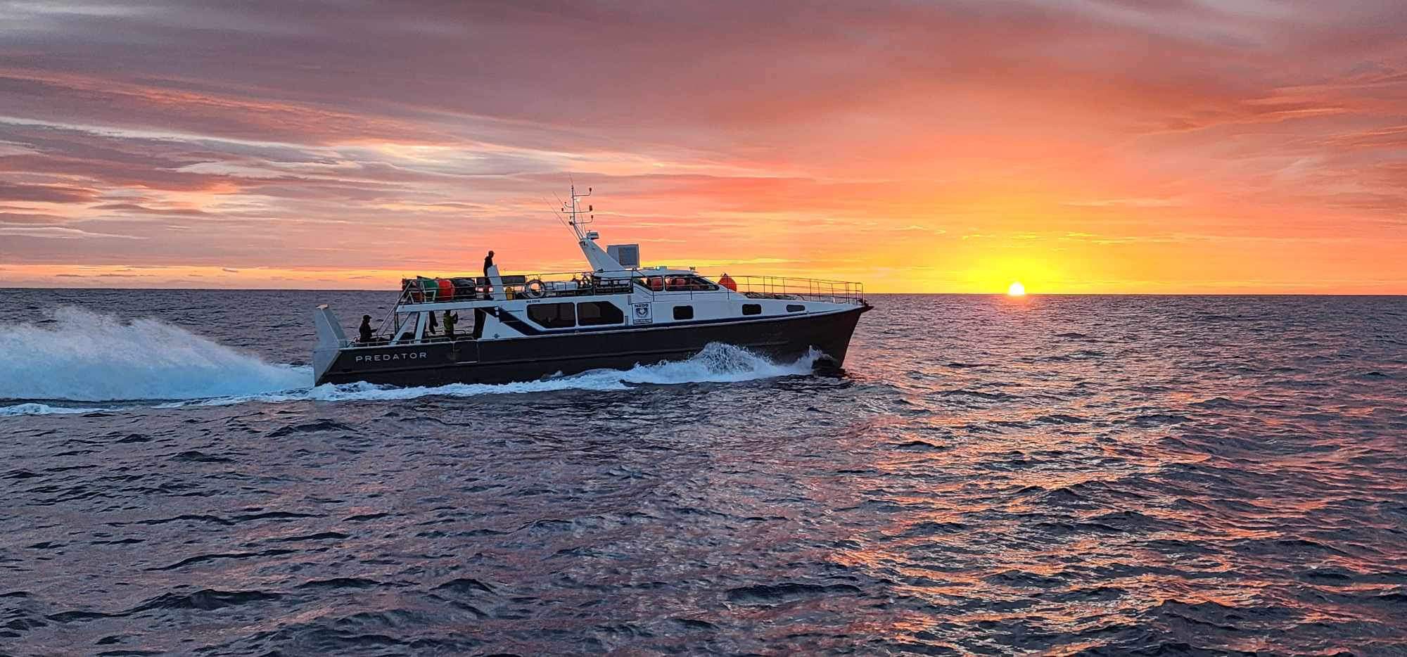 Predator Vessel