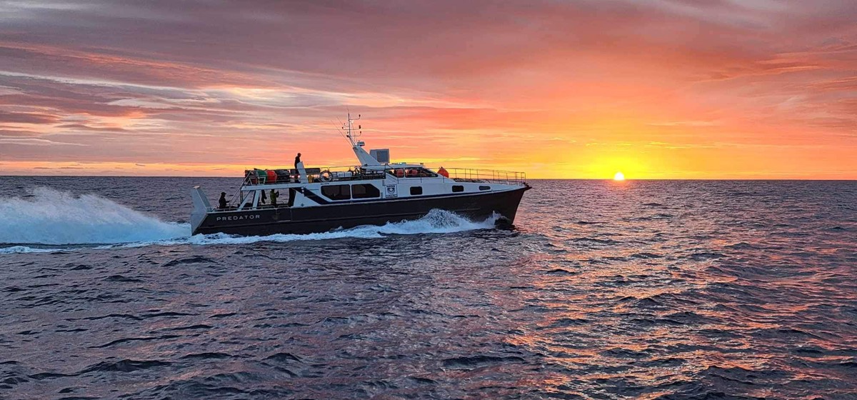 Predator Vessel