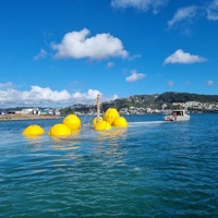 Lift bags assisting with salvage