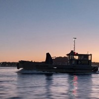 Searanger - Tamaki River