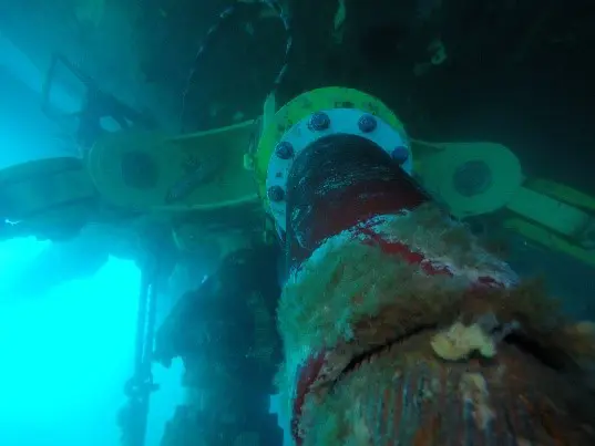 BSLM AND STP – FPSO RAROA