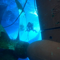 Propeller polish