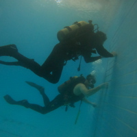 Two divers pool work