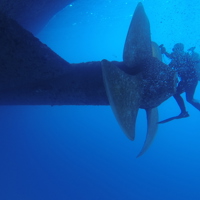 In port propeller inspection