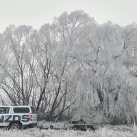 Deep South Frost - NZDS Ute