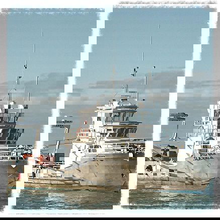 Island Leader