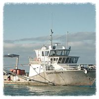 Island Leader II