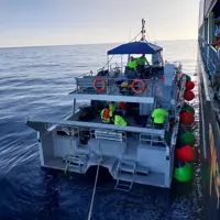 Predator alongside offshore clean